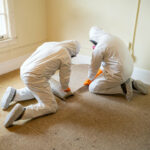 Mold Remediation 02