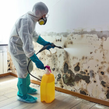 Mold Remediation Services 01
