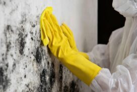 Mold and Water Solutions